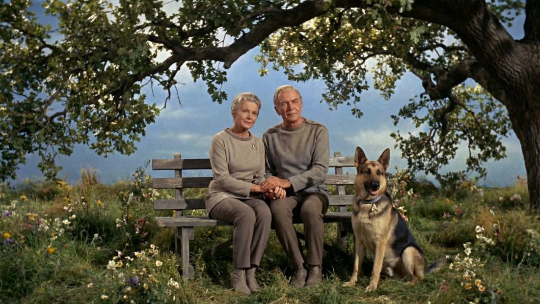 Star Trek series style